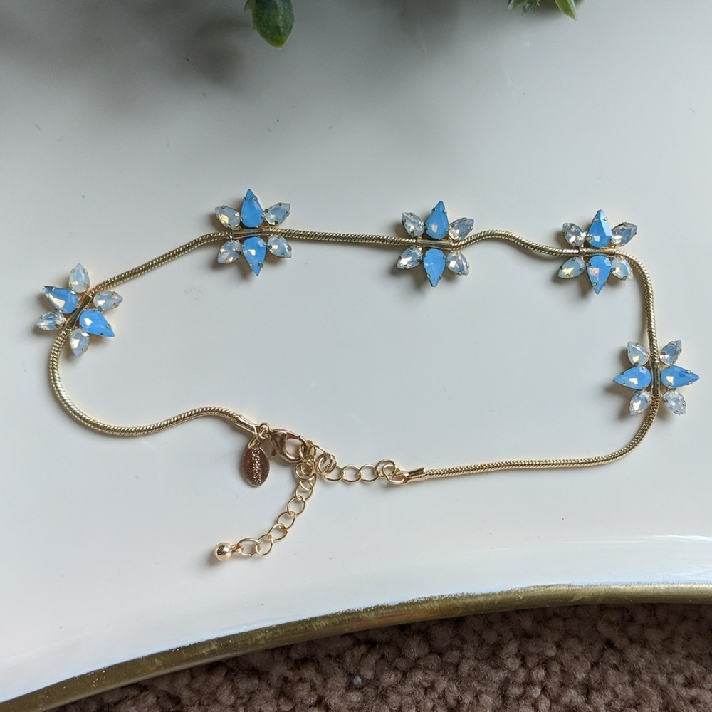 NWOT Express choker